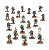 ✅ SOLAR AUXILIA BATTLE GROUP